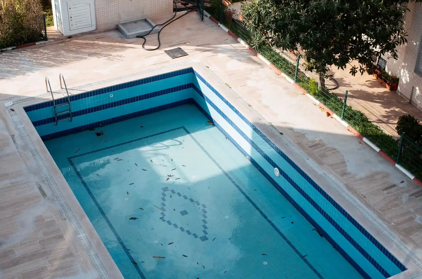 A newly built pool shell in a sunlit garden before finishing