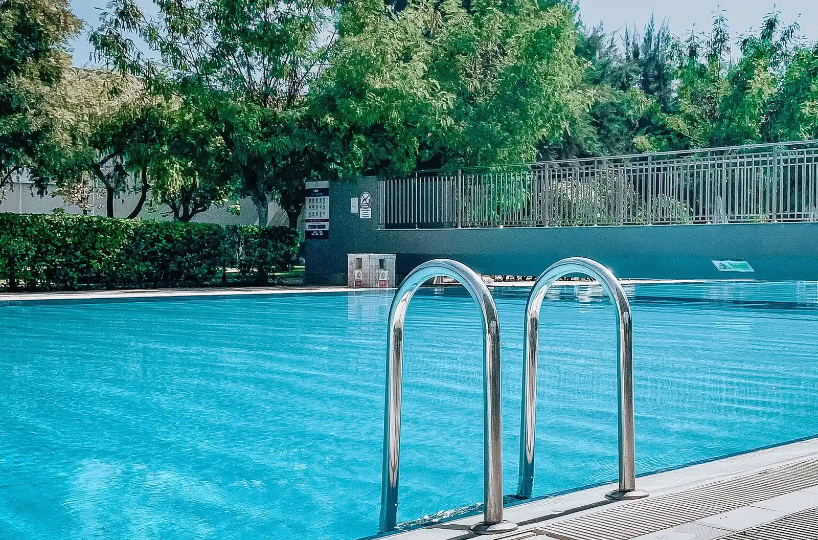 A crystal-clear backyard pool on a bright day surrounded by greenery