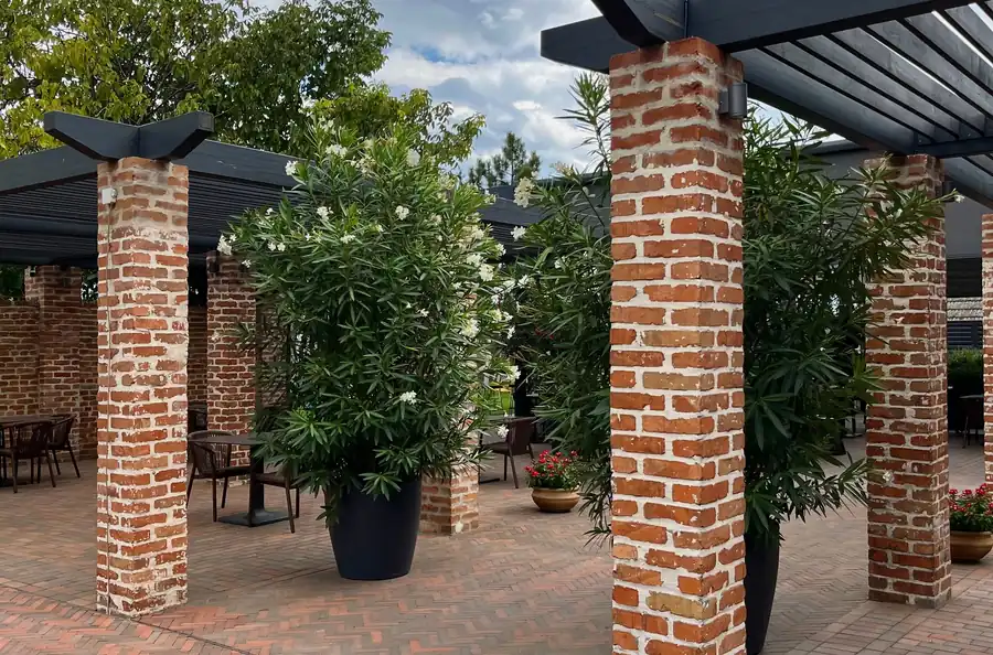 Patio with brick columns, pergolas and planted beds
